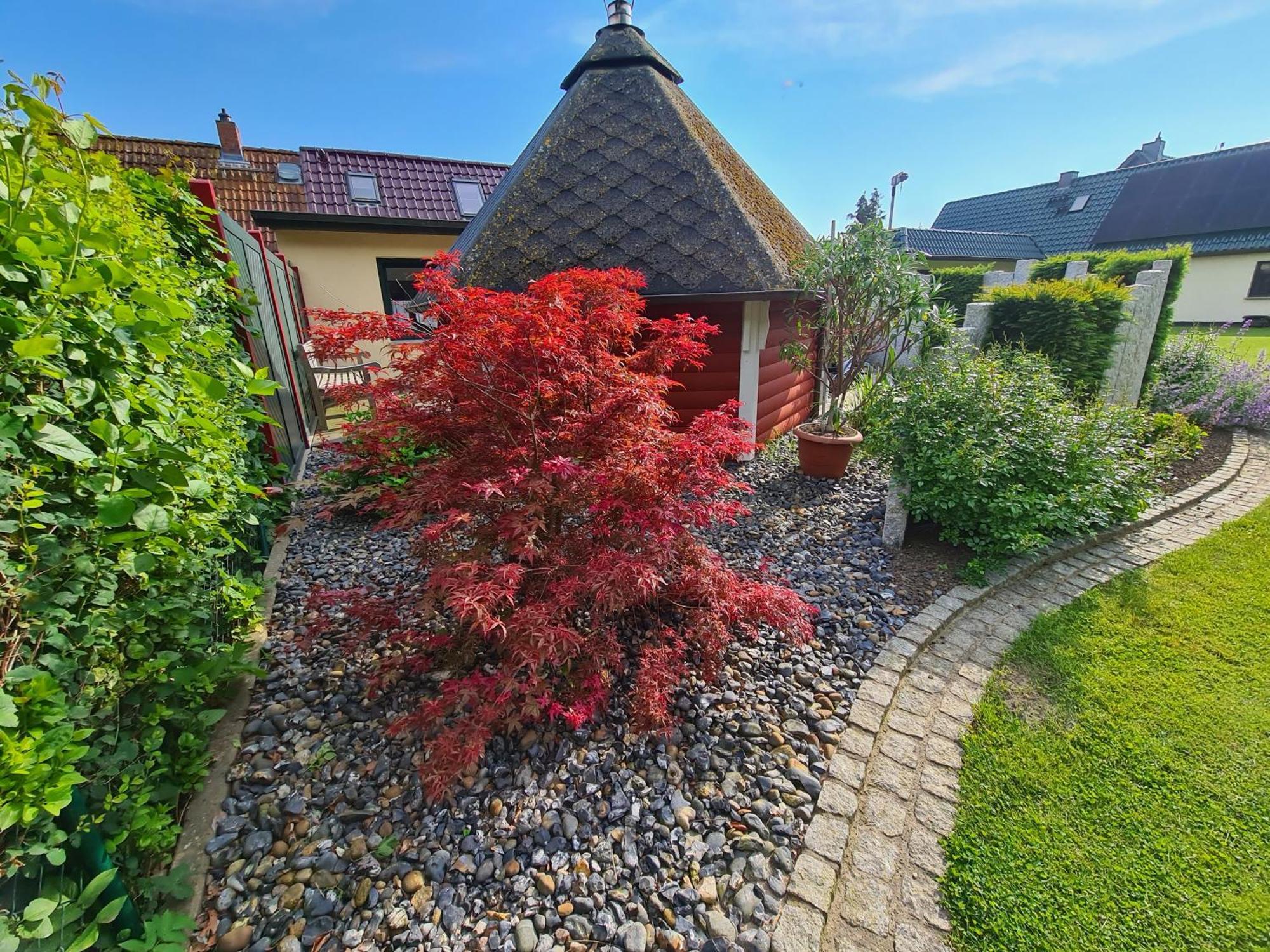 Ferienhaus Saupe Schaprode Extérieur photo